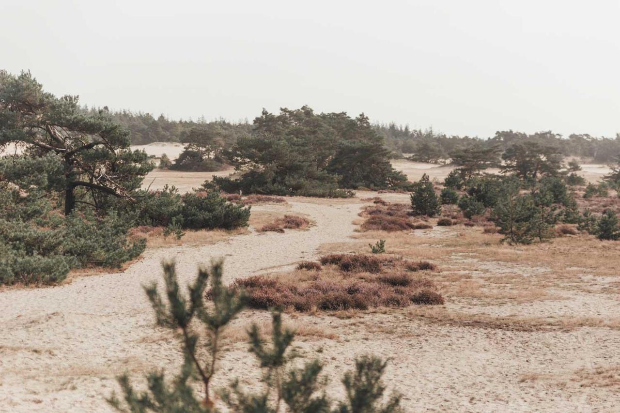 Boshuisje Op De Veluwe Nunspeet Exterior foto